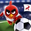 Angry Birds Goal!