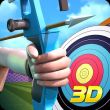 Archery World Champion 3D