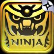Rush Ninja — Ninja Games